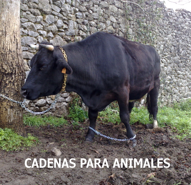 cadenas para animales